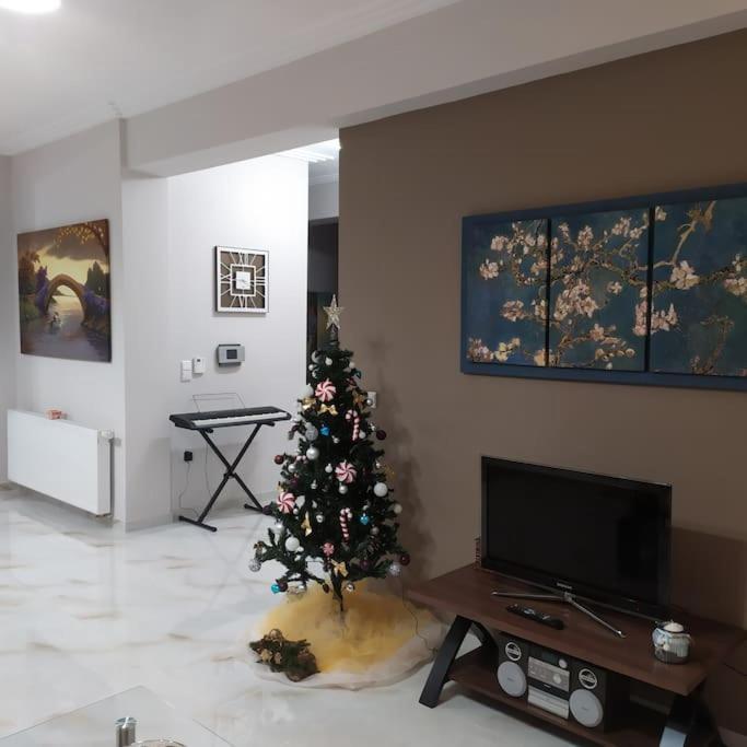 Ebony And Ivory Suites 多西亚 外观 照片
